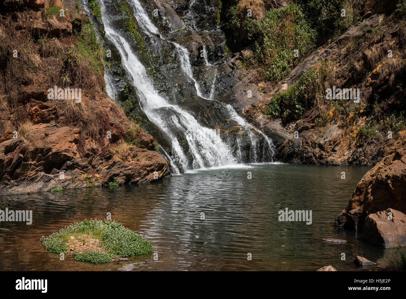 Fuß des Witpoortjie-Wasserfalls fließt in einer Lache des Wassers in den botanischen Gärten in Roodepoort Stockfoto