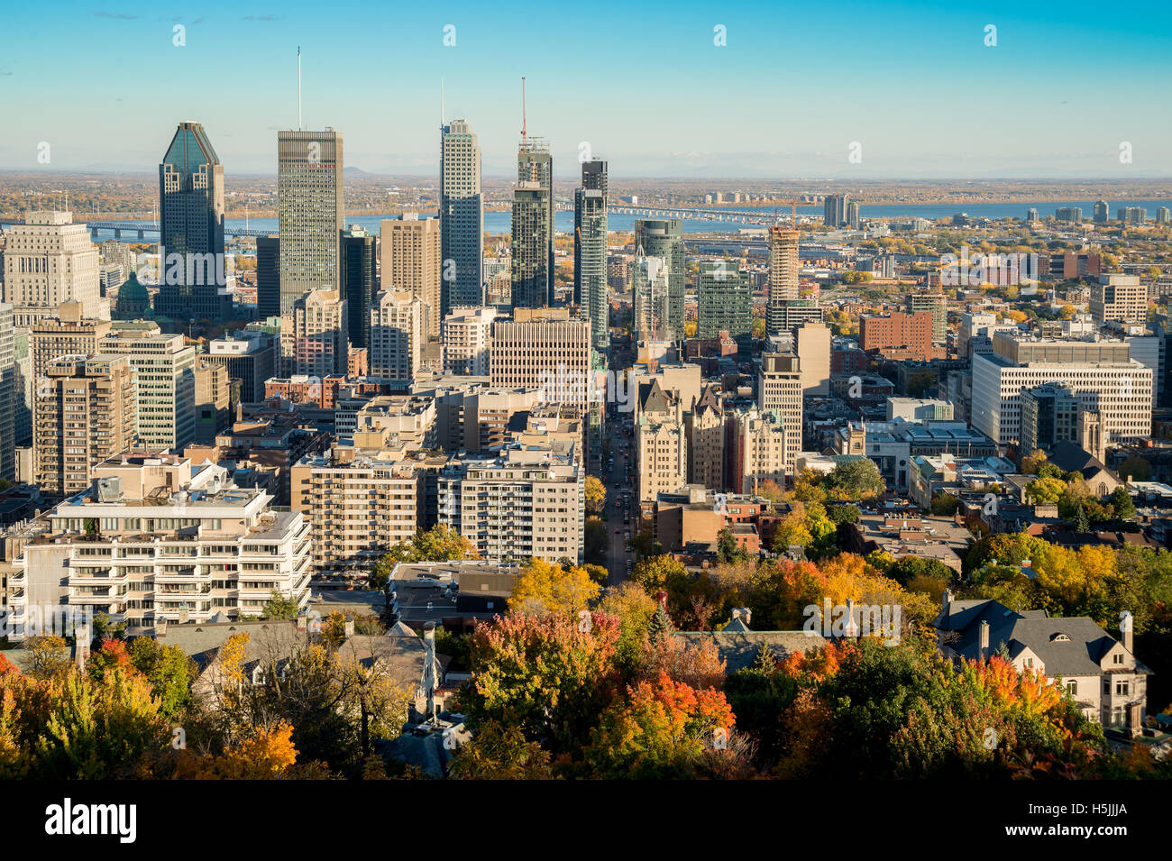 Farben des Herbstes: Herbstlaub und Skyline von Montreal aus Kondiaronk Belvedere auf Mont-Royal Mountain (2016) Stockfoto