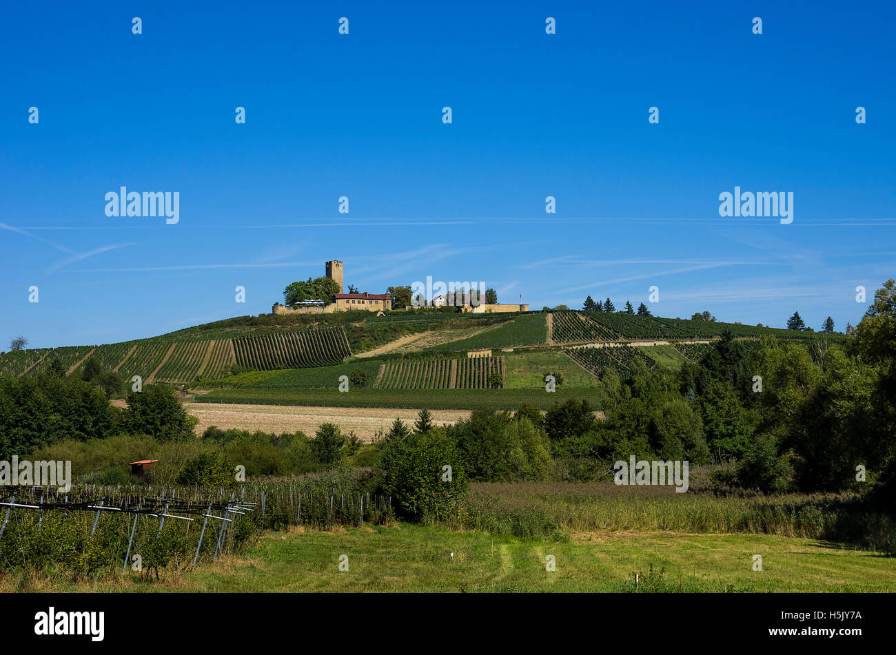 Burg Ravensburg, Sulzburg, Baden-Württemberg, Deutschland. Stockfoto