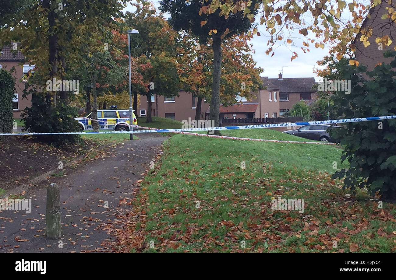 Ein Polizei-Kordon in Glenwood Court in West Belfast nach einem Mann wurde tot letzte Nacht erschossen. Stockfoto