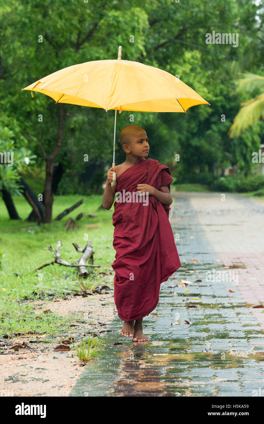 Junger Mönch mit einem Regenschirm im Regen, Dimbulagala buddhistische Kloster in der Nähe von Polonnaruwa, Sri Lanka Stockfoto