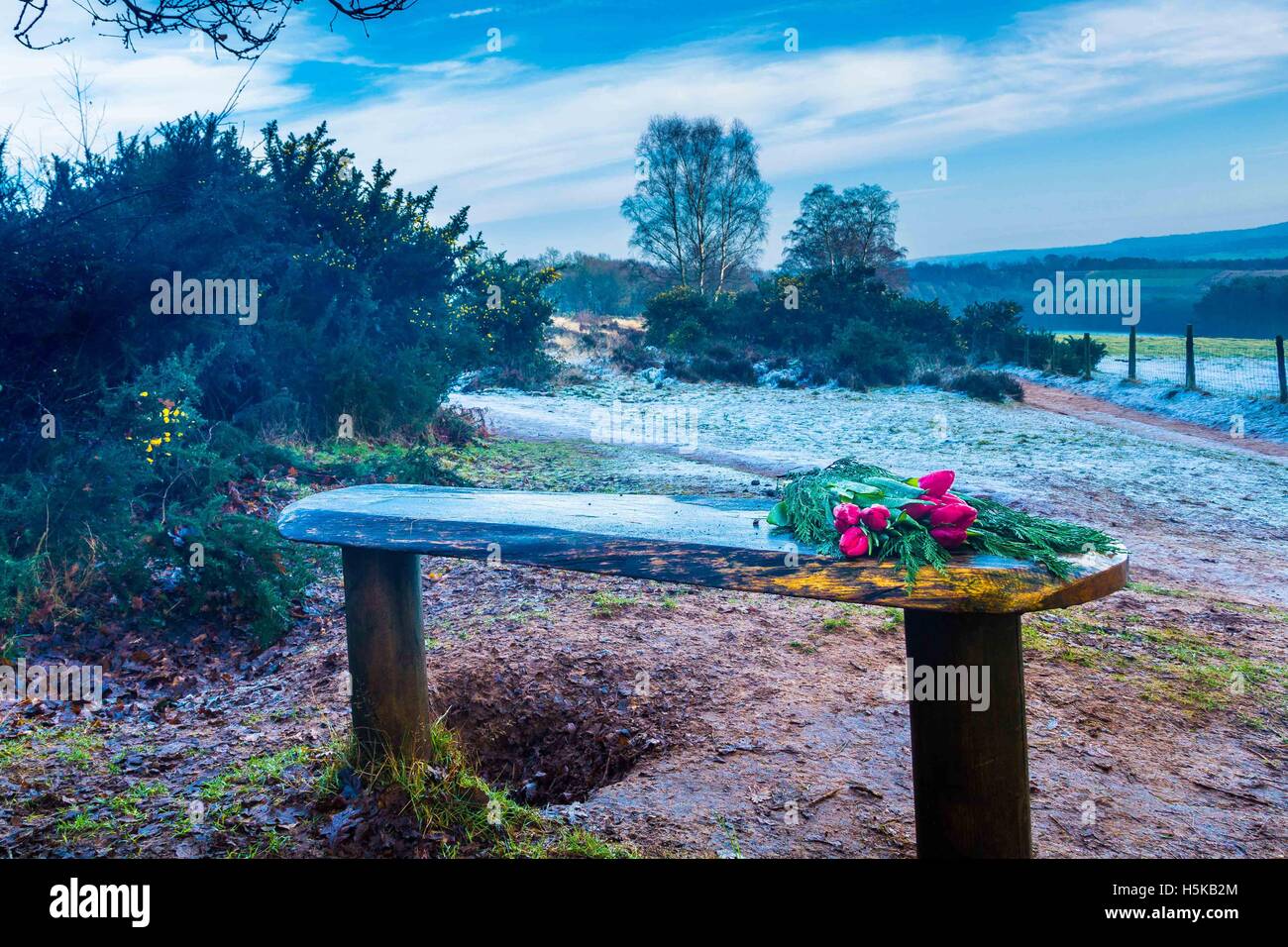 Rosen und Blumen der Gedenkstätte auf ein ziemlich Bank mit Blick auf Felder und Landschaft Stockfoto