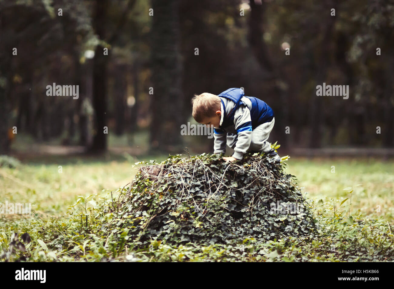 Kind im Park Klettern und spielen Stockfoto