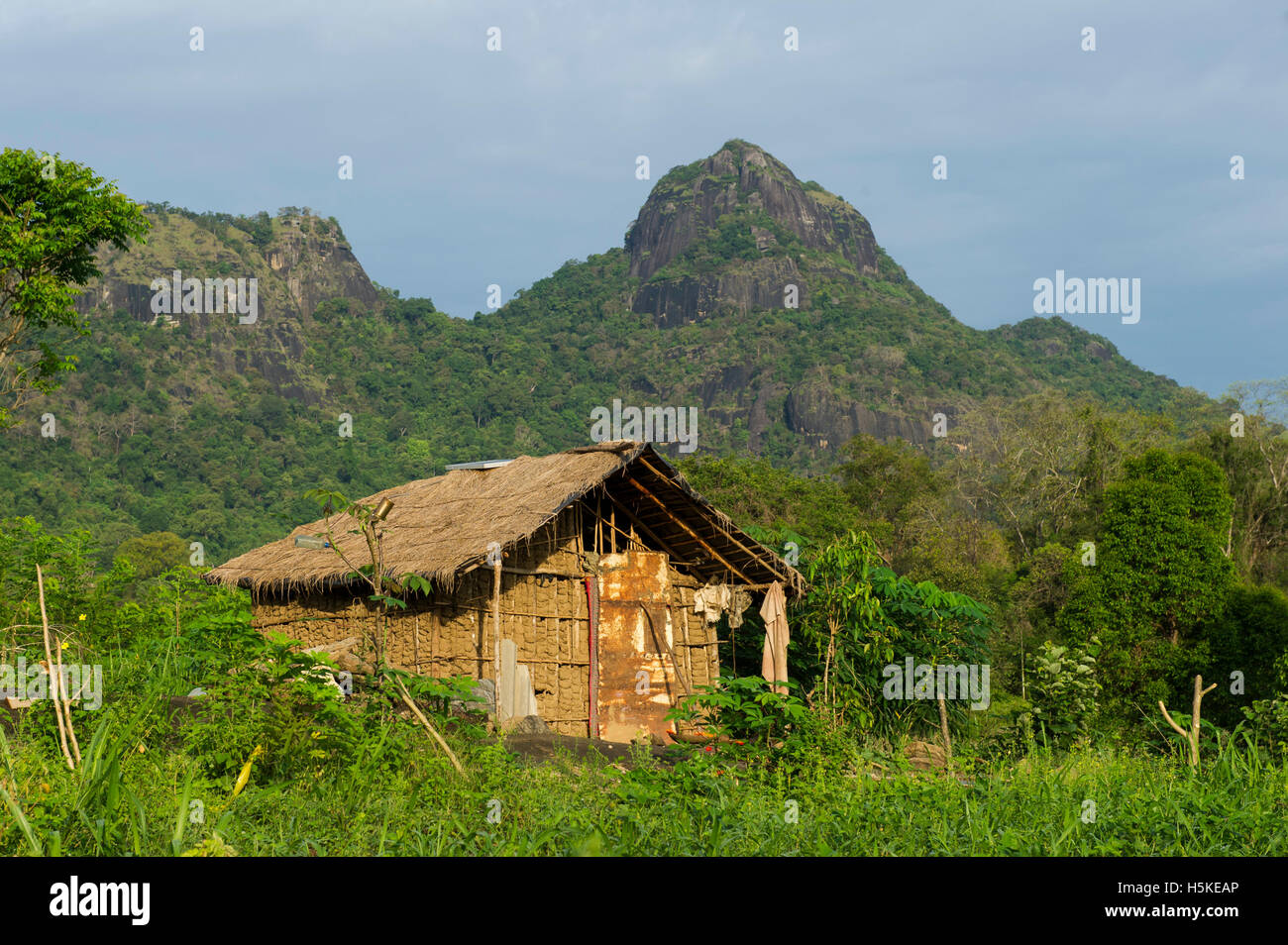 Lokalen Gehöft, Gal Oya Nationalpark, Sri Lanka Stockfoto