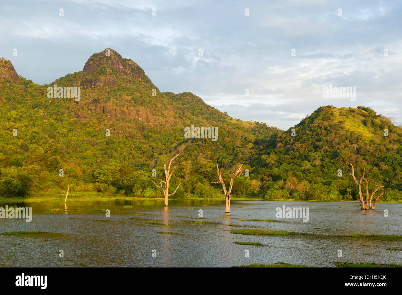 See in einer Berglandschaft, Gal Oya Nationalpark, Sri Lanka Stockfoto