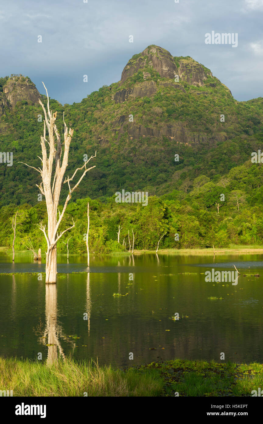 See in einer Berglandschaft, Gal Oya Nationalpark, Sri Lanka Stockfoto