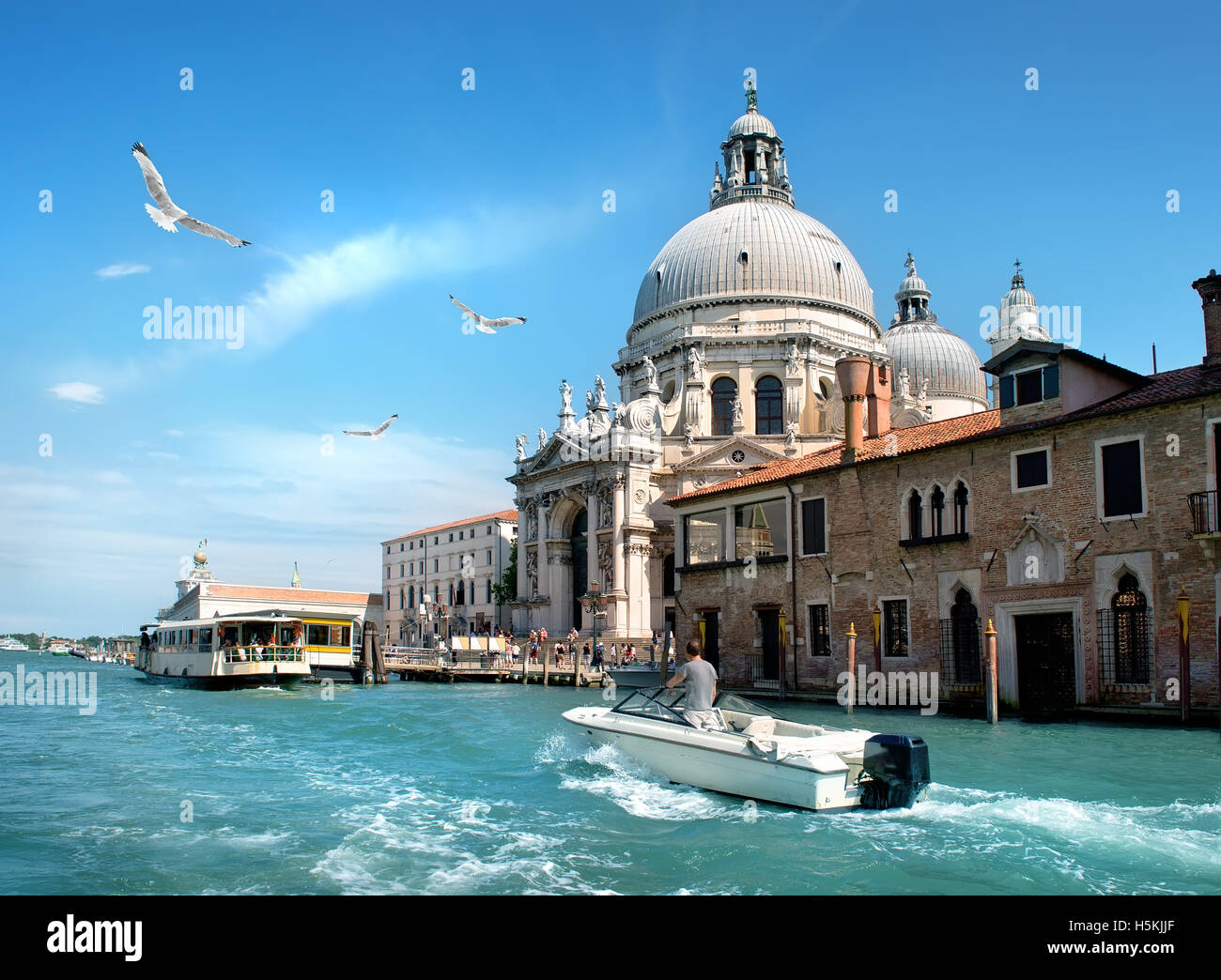 Basilica di Santa Maria della Salute in Venedig, Italien Stockfoto