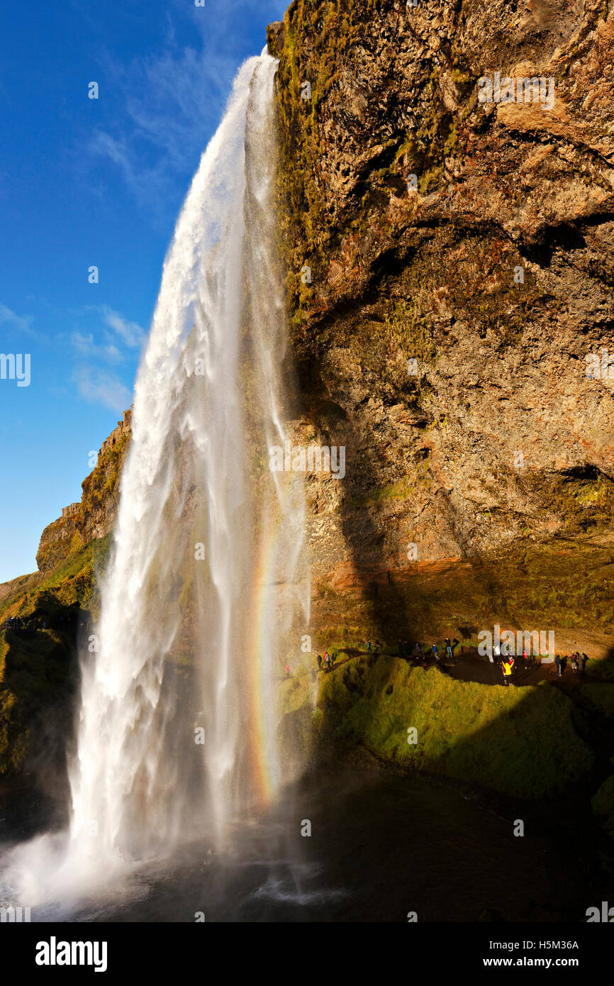 Wasserfall Seljalandsfoss, Südisland, Nordatlantik, Europa Stockfoto