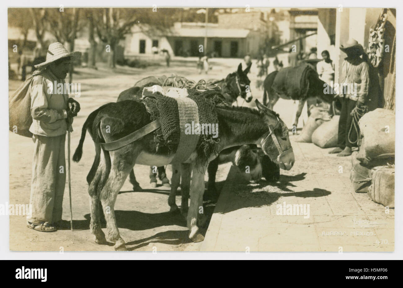 Burros, Mexiko Stockfoto