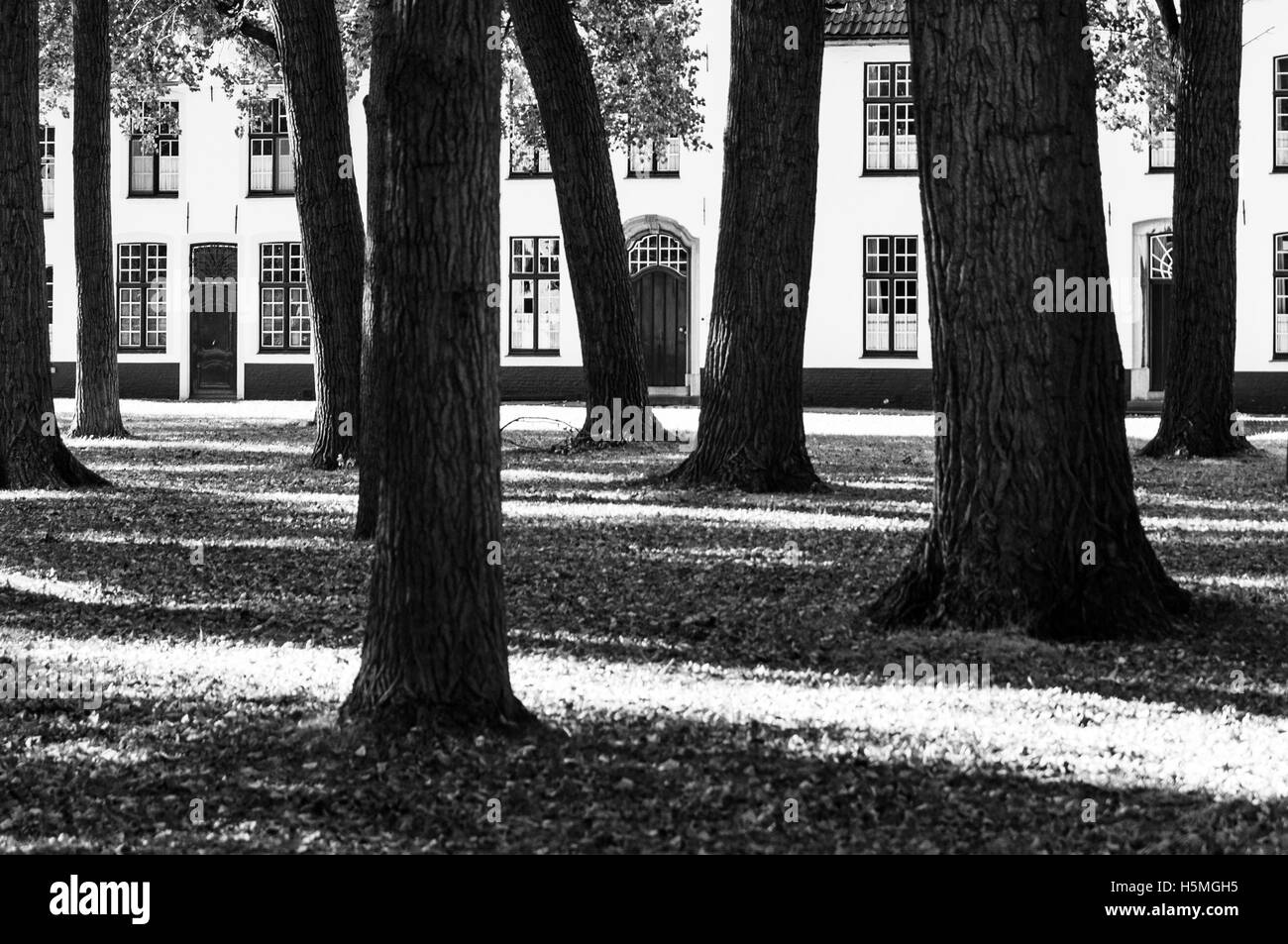 Beginenhof von Brügge Stockfoto