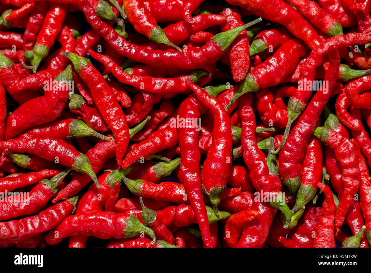 Heiße rote Chili-Pfeffer-Hintergrund Stockfoto