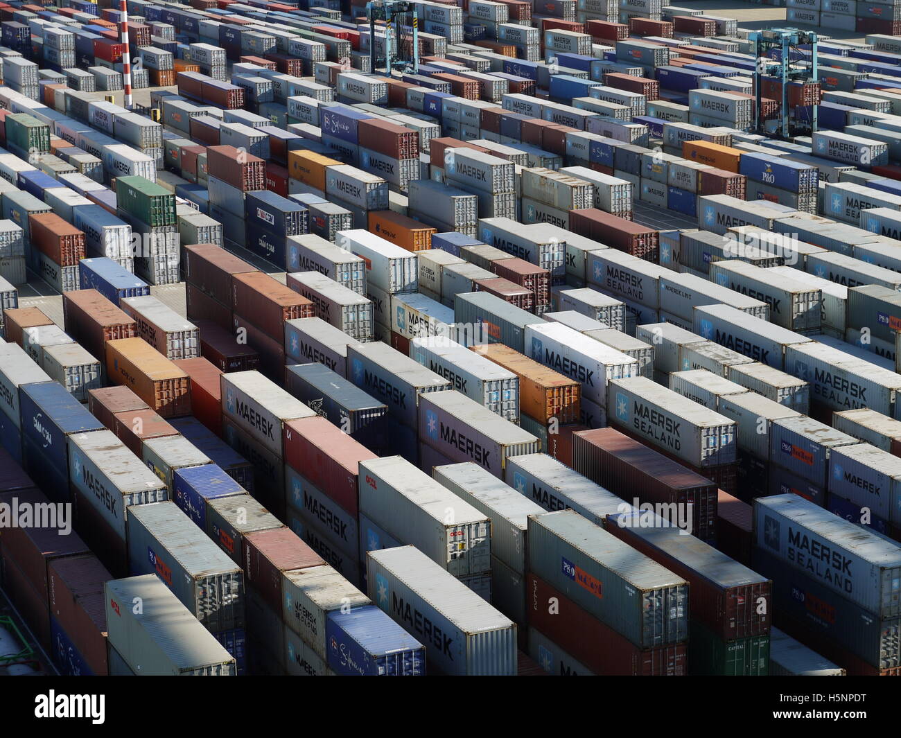 Container, die darauf warten, auf dem Dock des Hafens Rotterdam geladen werden Stockfoto