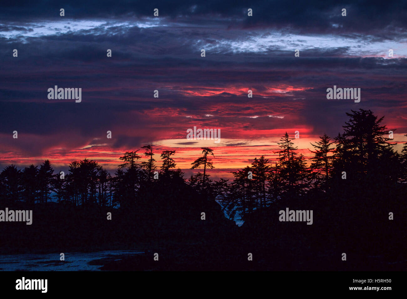 Sonnenuntergang im Pacific Rim National Park, Ucluelet, Britisch-Kolumbien Stockfoto