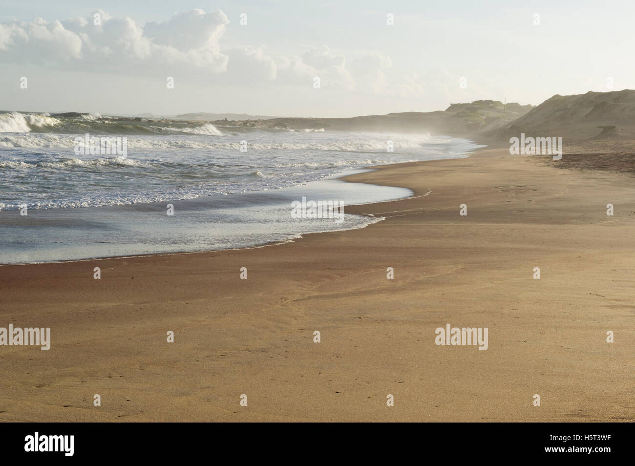 Strand, Yala-Nationalpark, Sri Lanka Stockfoto