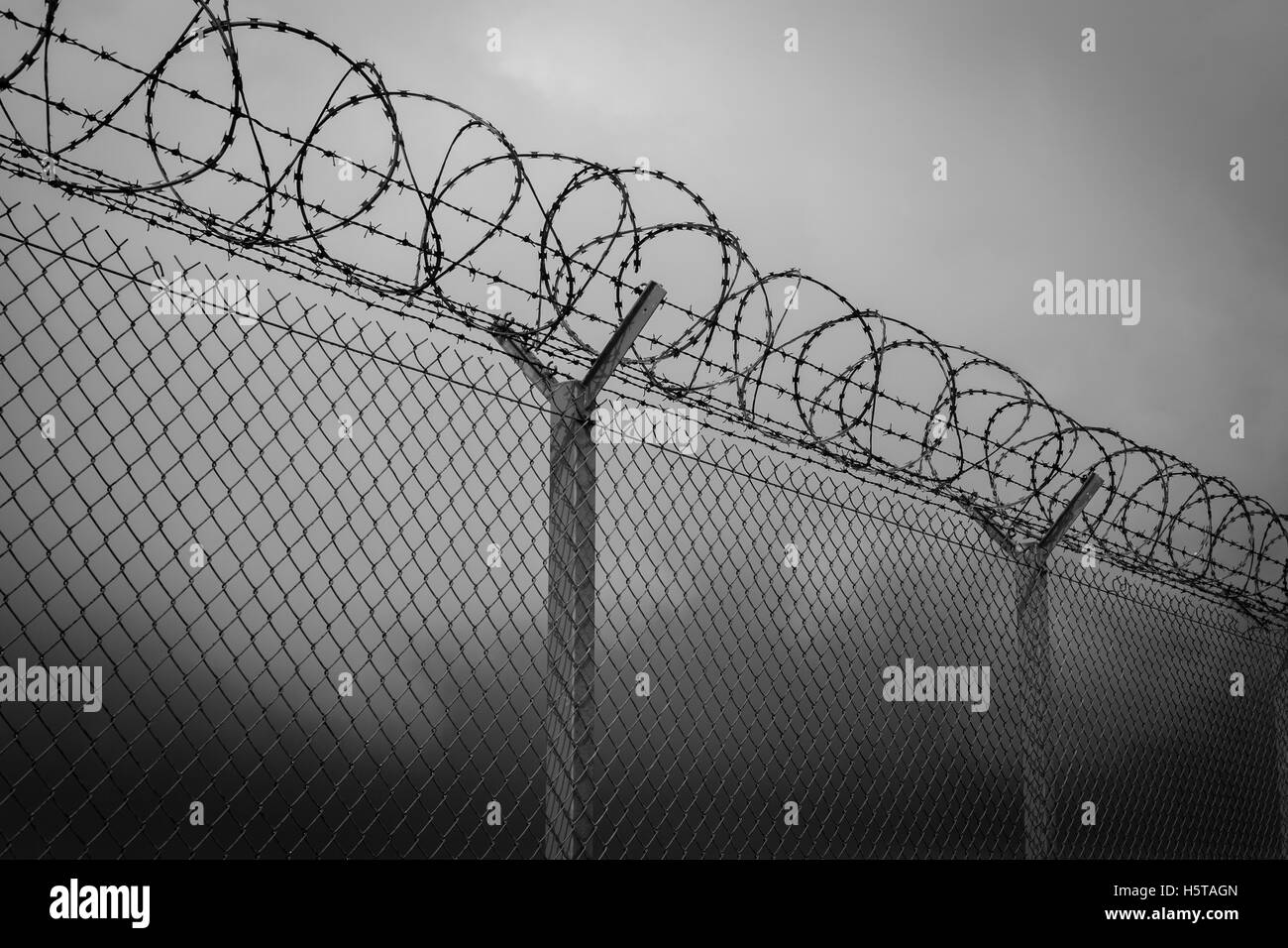 Stacheldraht - Sperrgebiet, schwarz und weiß Stockfoto