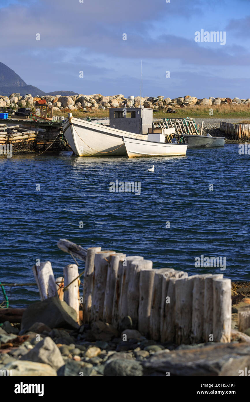 Traditionelle Fischerboote vertäut in der Stadt Ferryland, Neufundland, Kanada. Stockfoto