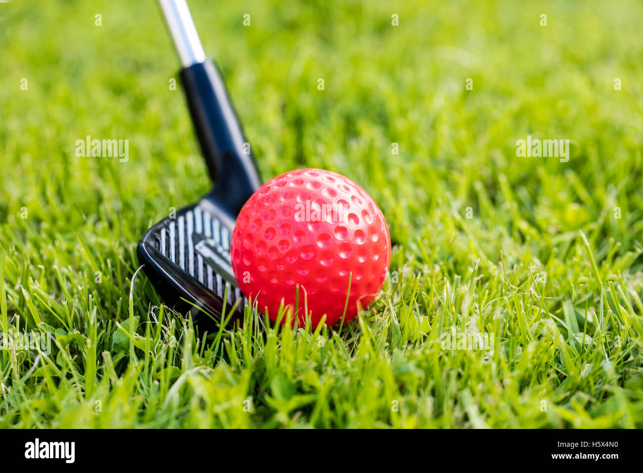 Nahaufnahme von Golf Stock schlagen einen Kunststoff Golfball auf dem Rasen Stockfoto