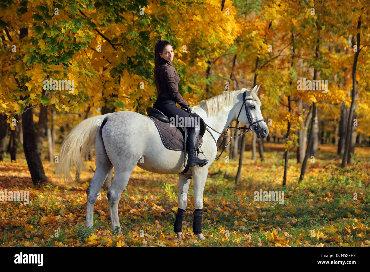 Pferdesport-Modell mit ihrem Pferd in der herbstlichen Natur Stockfoto