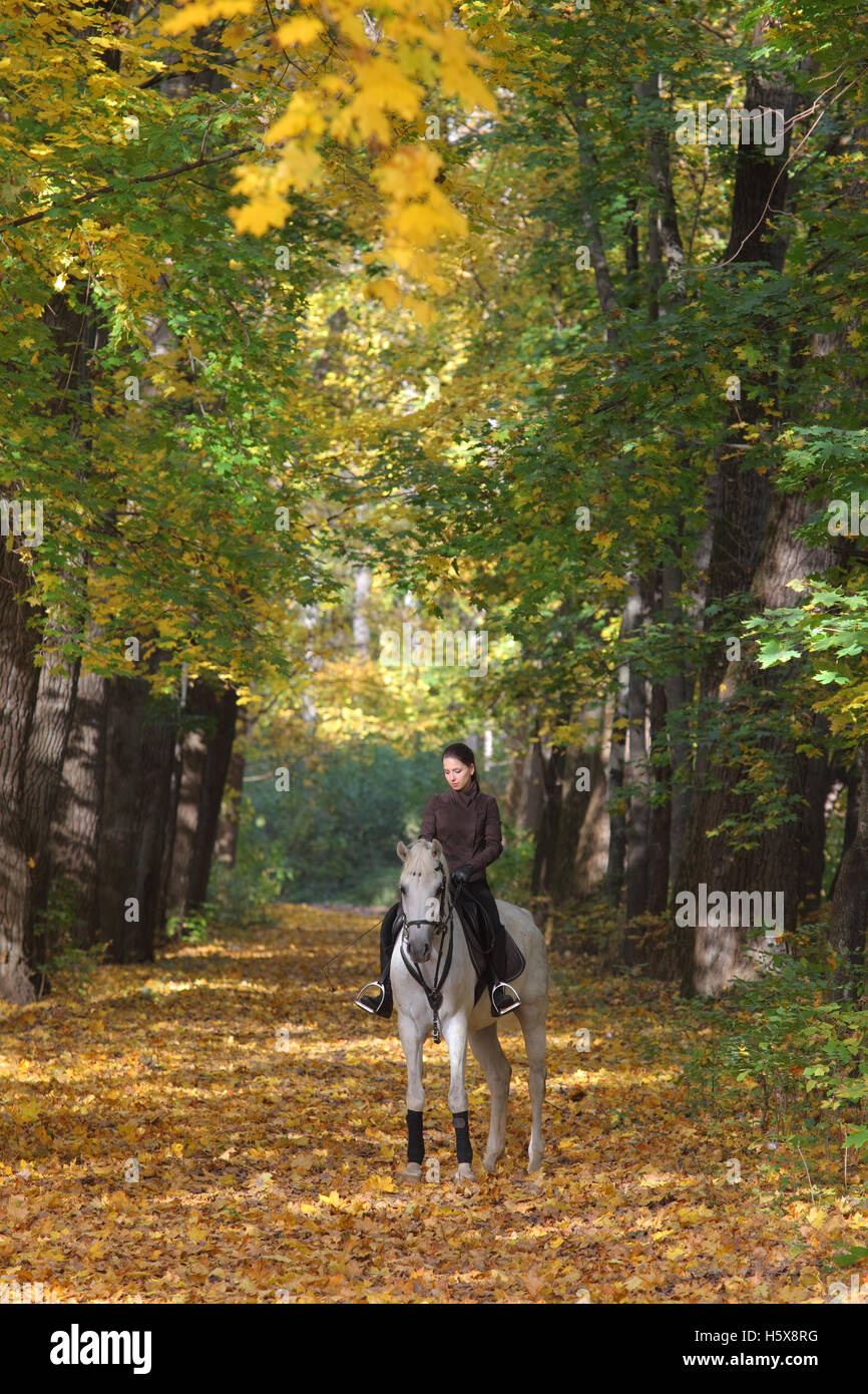 Schöne junge Frau Reitpferd im Herbst gelb-park Stockfoto