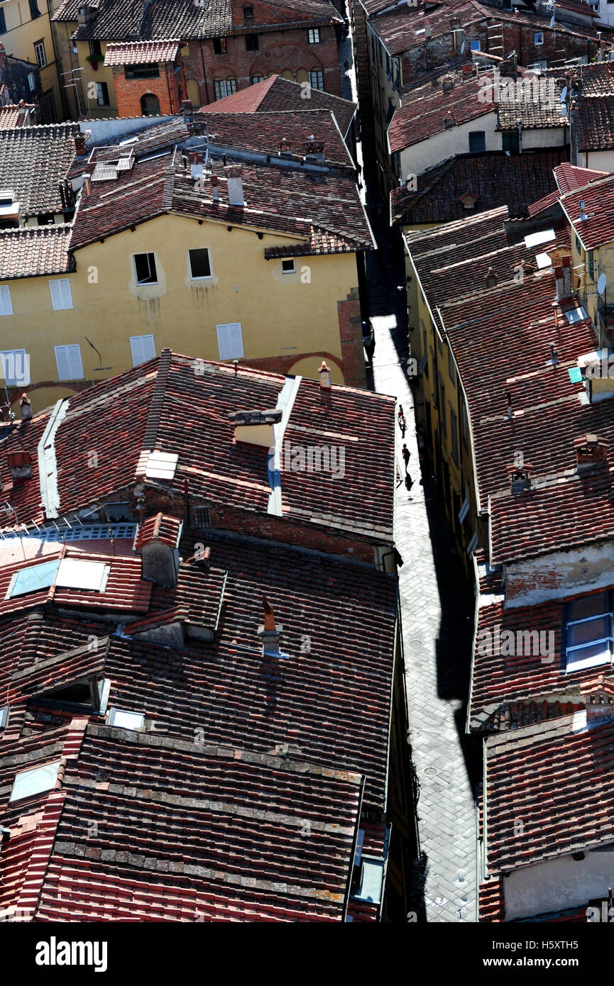 Luccas Dächer gesehen von der Spitze des Torre Guinigi Stockfoto