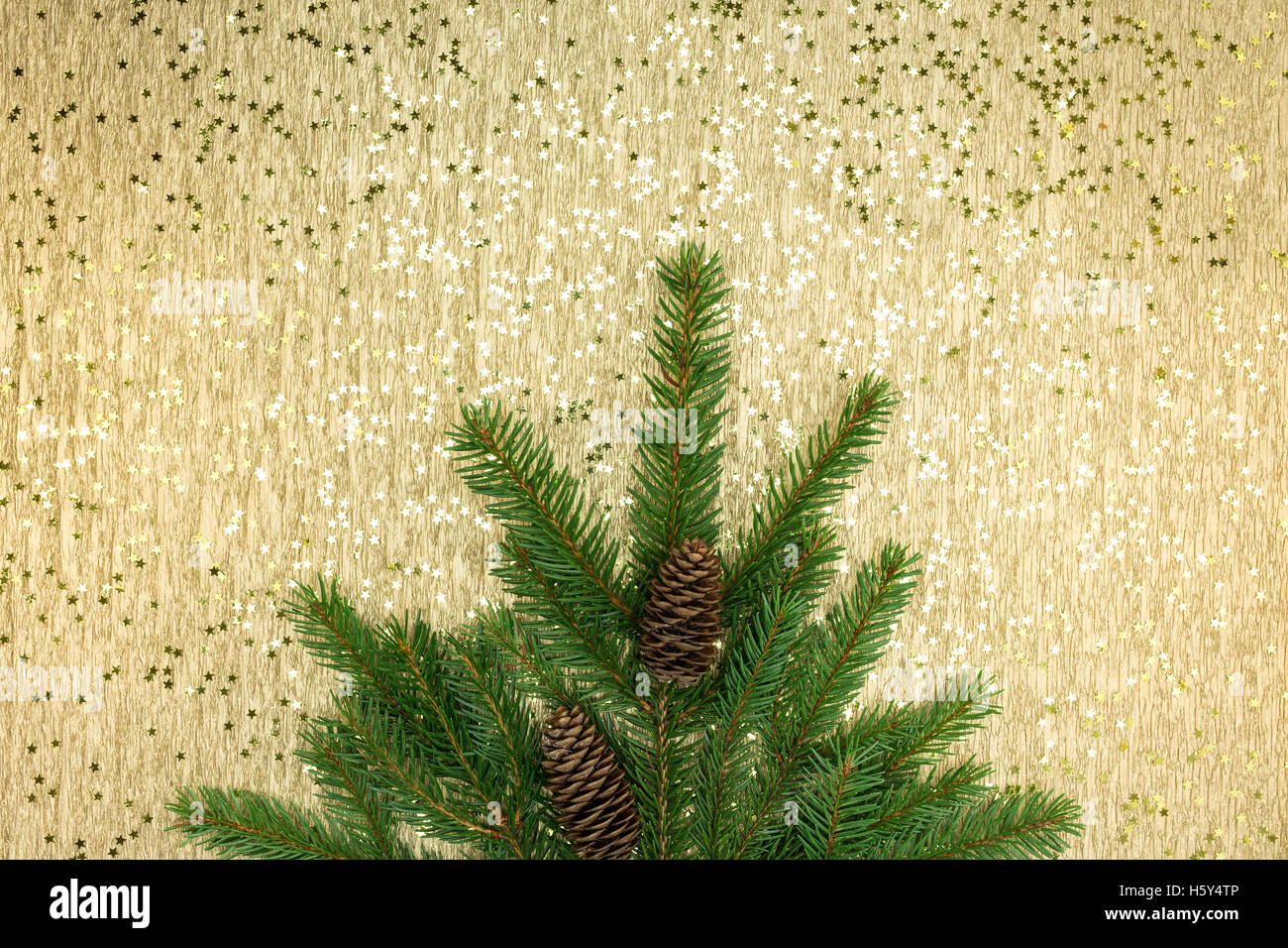 Tanne Äste mit Zapfen über festliche Weihnachten Goldgrund Stockfoto