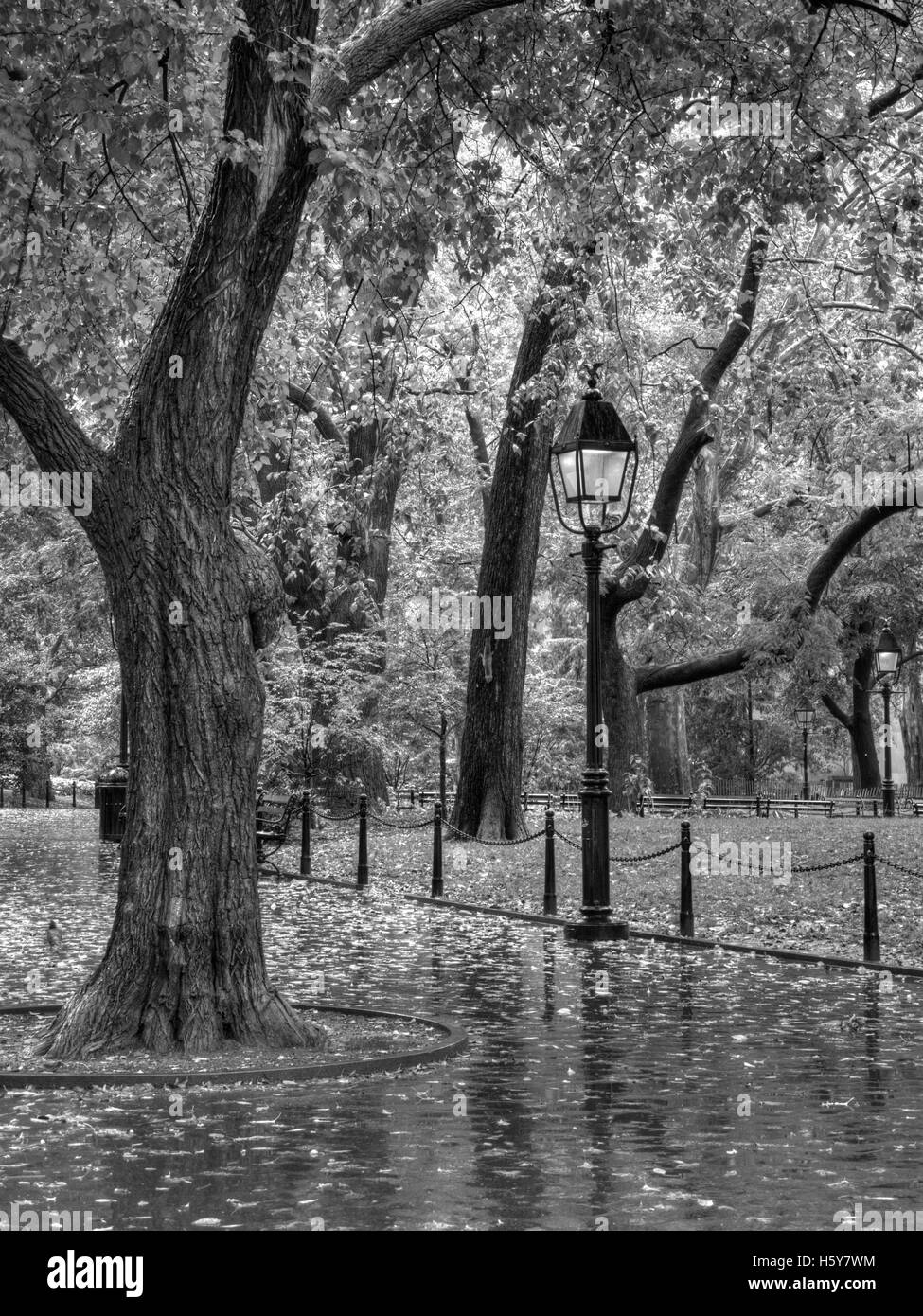 ein Regentag in einem Park in New York Stockfoto