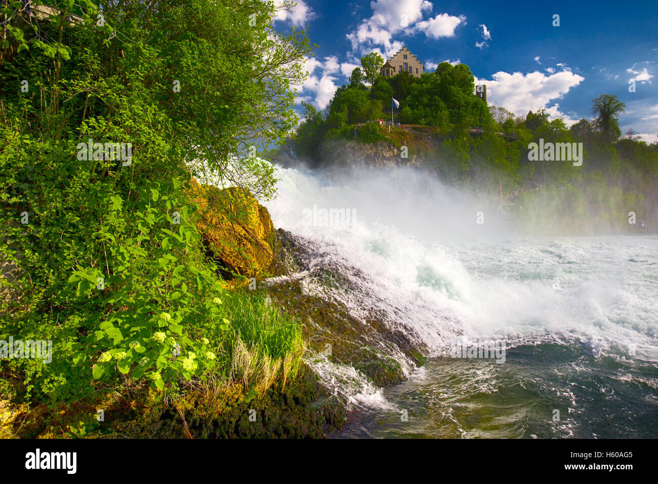 Rheinfall, den größte schlichten Wasserfall Europas in der Nähe von Schaffhausen, Schweiz Stockfoto