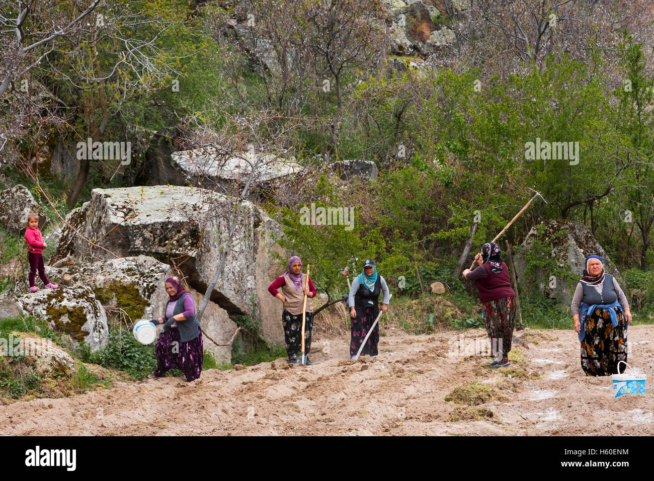 Frauen, die auf dem Ackerland in Kappadokien, Türkei, arbeiten Stockfoto