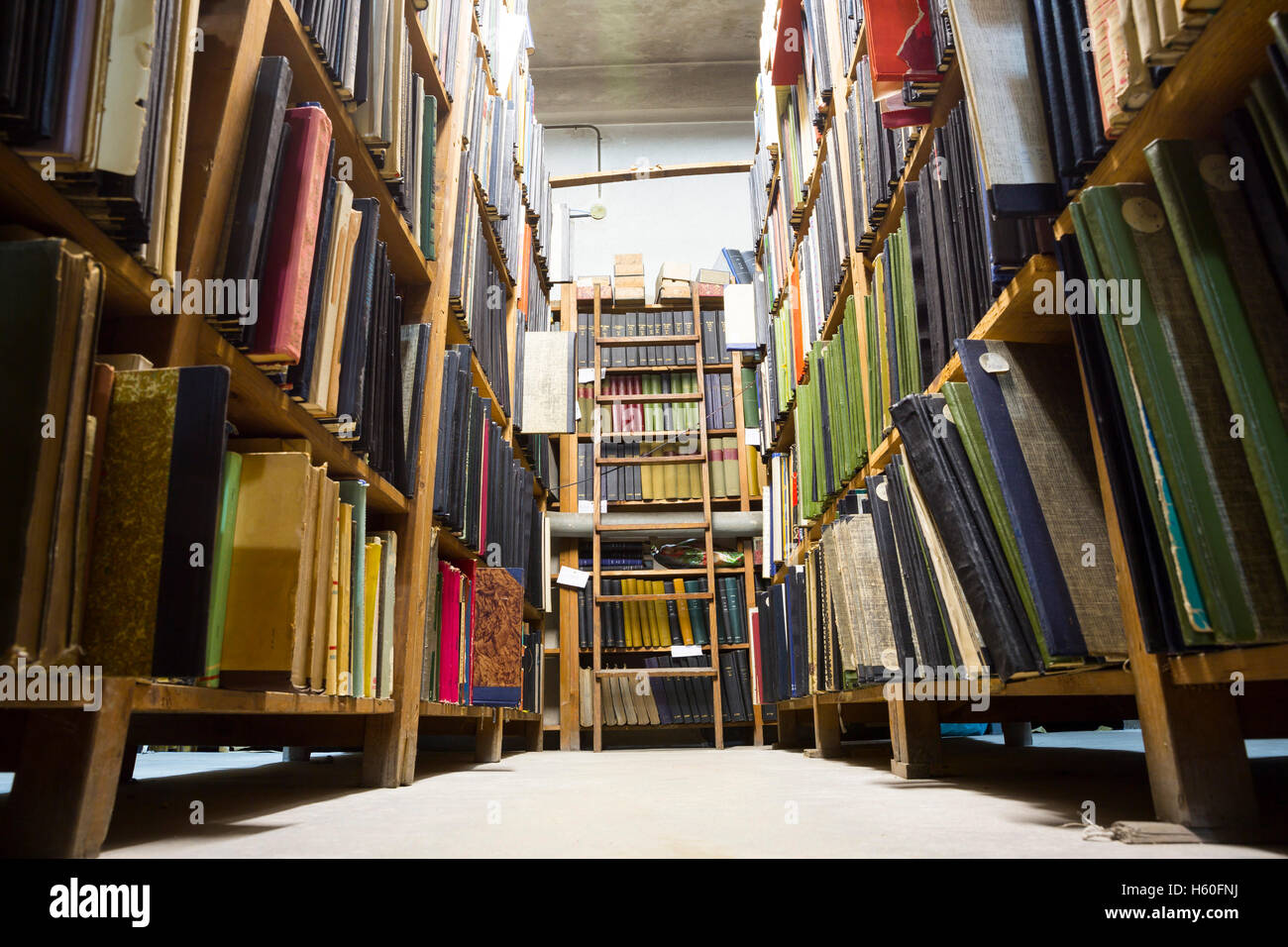 Sehr alte Bibliothek in einem schlechten Zustand. Bücher in den Regalen. Leiter auf der Rückseite die Bücherregale. Stockfoto