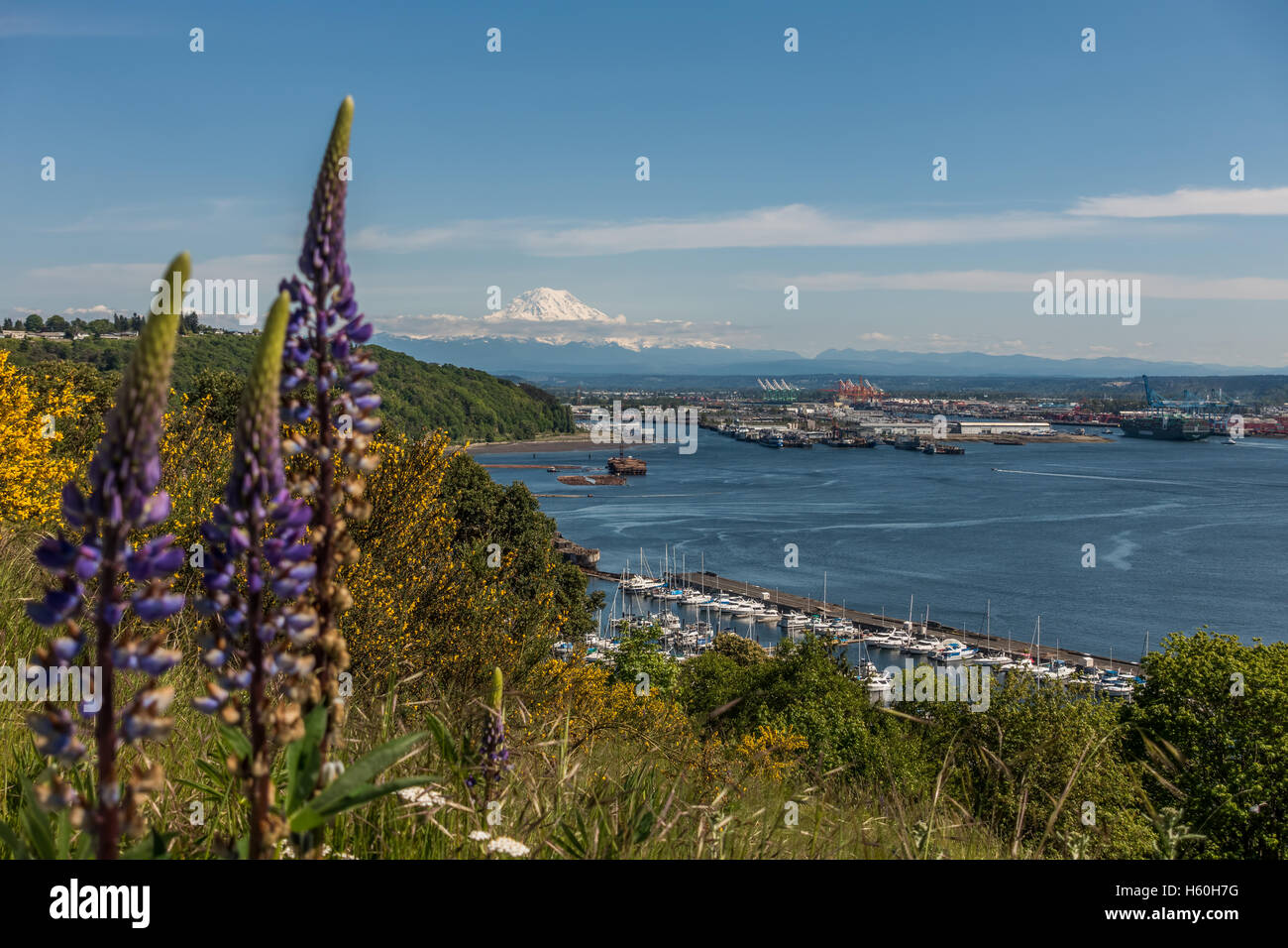 Majestätischen Mount Rainier erhebt sich über dem Port of Tacoma. Stockfoto