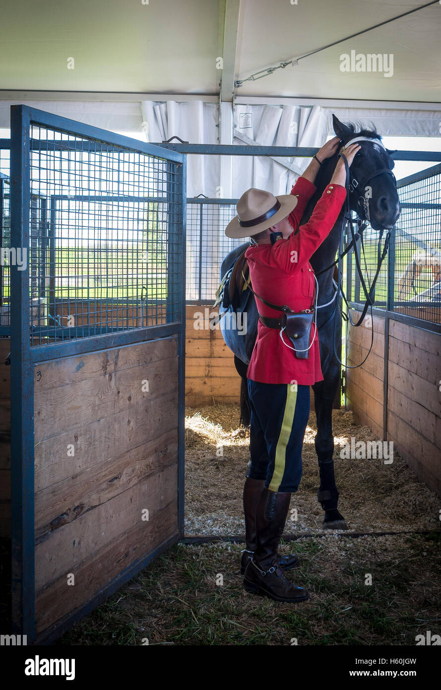 RCMP Mountie Zeremonie Pferd vorbereiten Stockfoto