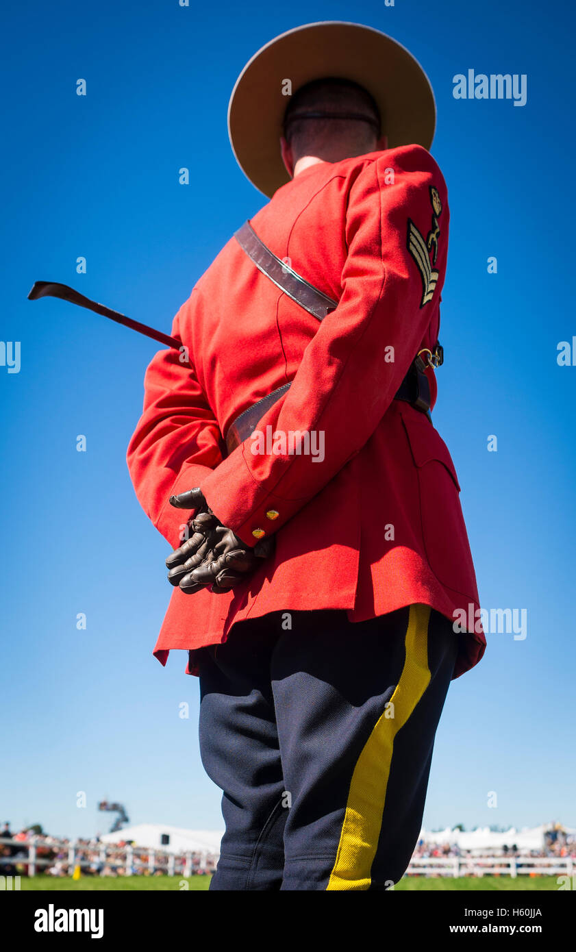 Königliche kanadische montiert Polizist steht im Rahmen einer Feierstunde in Minto, Ontario, Kanada Stockfoto