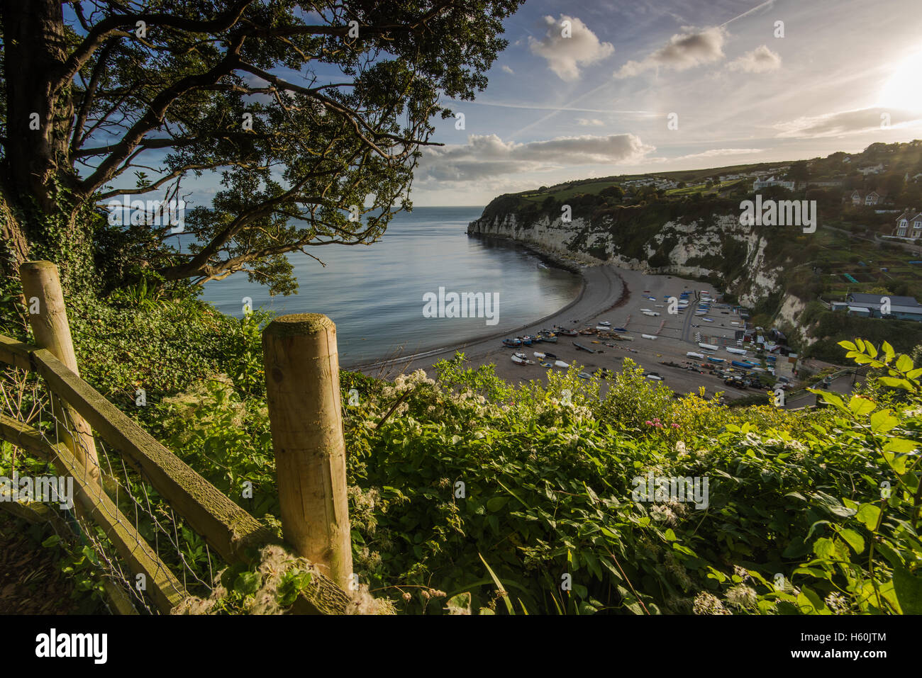 Britisches Erbe Fischer Dorf von Bier in Devon, Großbritannien Stockfoto