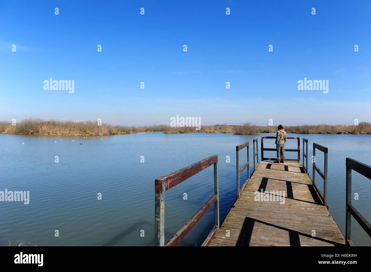 Mann auf einem Pier entlang eines der drei Seen, die Stadt von Mantua, in Norditalien umgeben Stockfoto