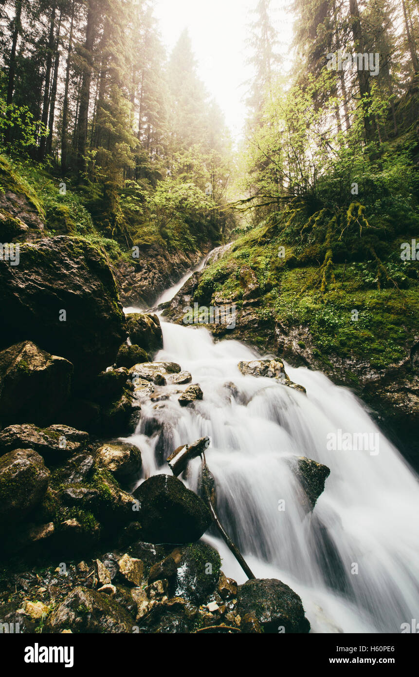 natürlicher Wasserfall am Bach im grünen Wald Stockfoto