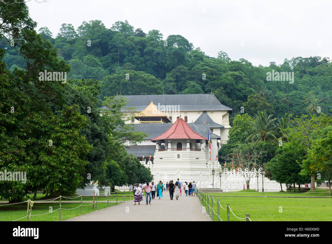 Der Zahntempel Kandy, Sri Lanka Stockfoto