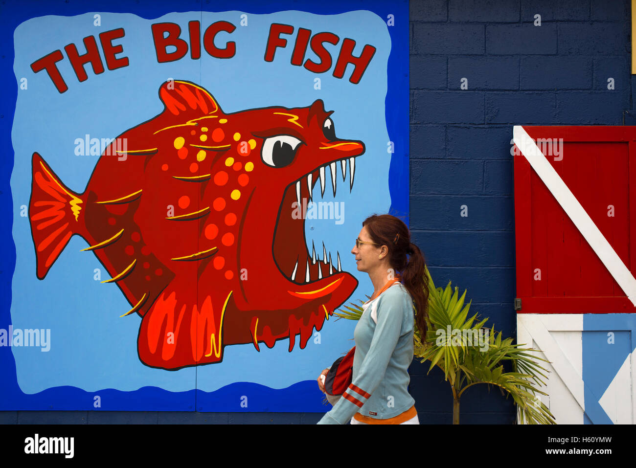 Rarotonga-Insel. Cook Island. Polynesien. Süd-Pazifik. Die großen Fische, Diving Centre in Rarotonga. Sie können Tauchen, Rarotonga Stockfoto