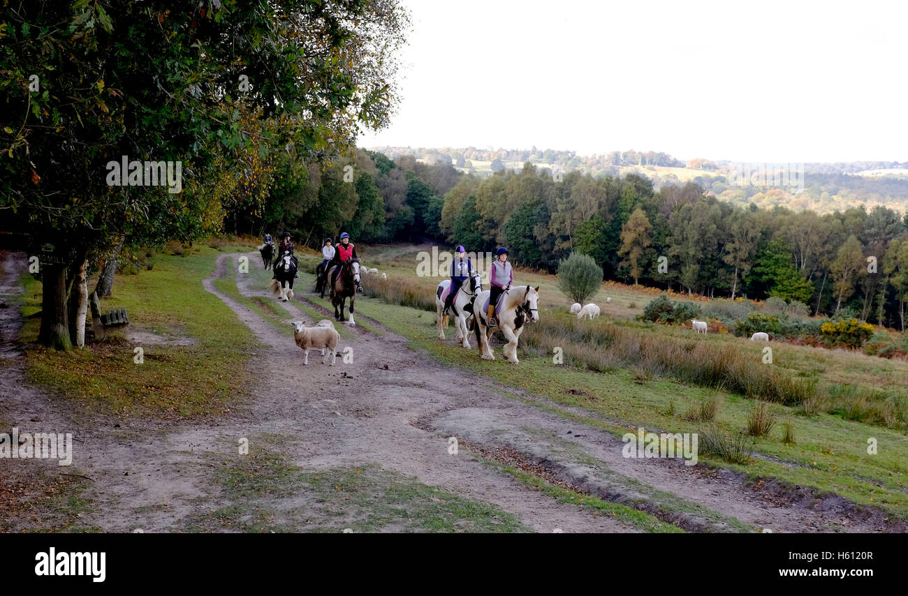 Reiten in Ashdown Forest Sussex UK Stockfoto