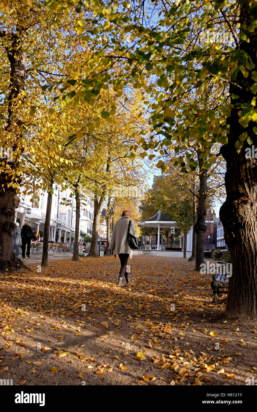 Die Pantiles Royal Tunbridge Wells Kent UK Stockfoto