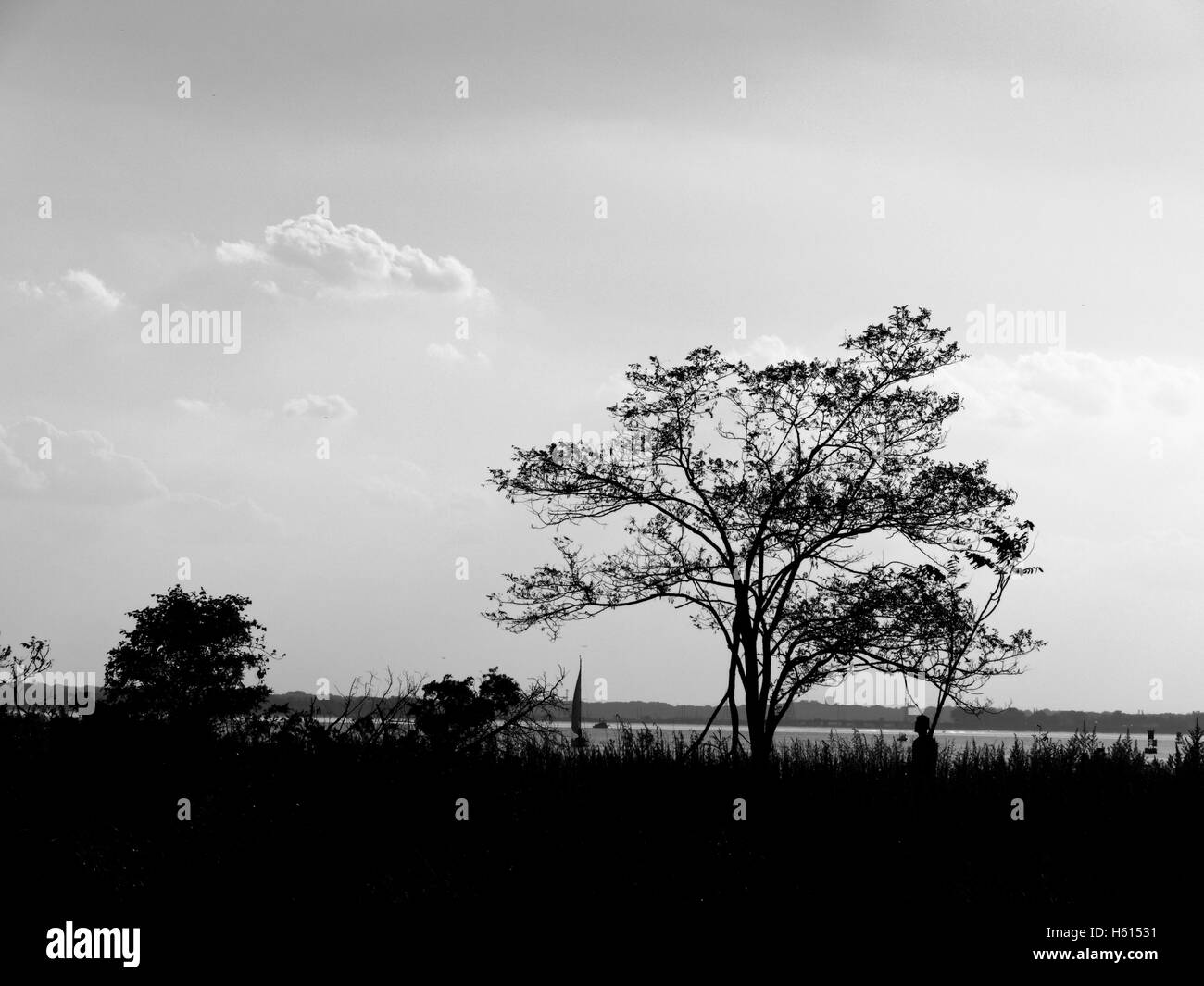 Silhouette entlang des Prinzen Bay Stockfoto