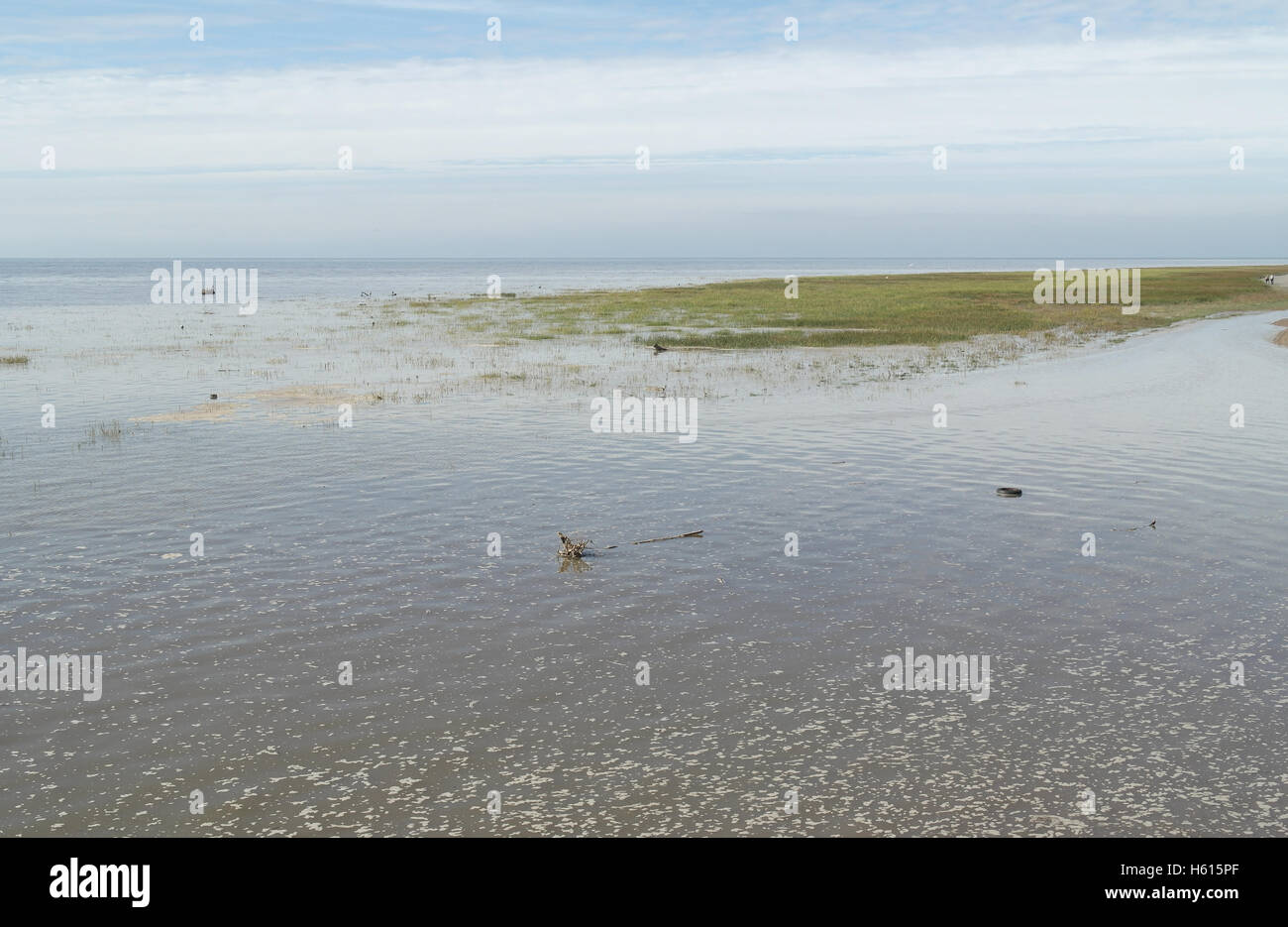 Blauer Himmel Stratuswolken anzeigen Flut Meerwasser überflutete Salzwiesen, mit Baum bleibt und Vögel, äußere Promenade Fairhaven, UK Stockfoto