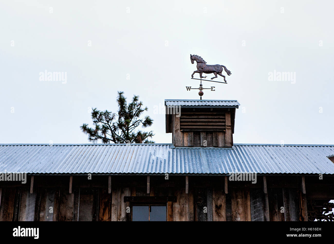 Eine Wetterfahne Pferd sitzt oben auf ein altes Gebäude. Stockfoto