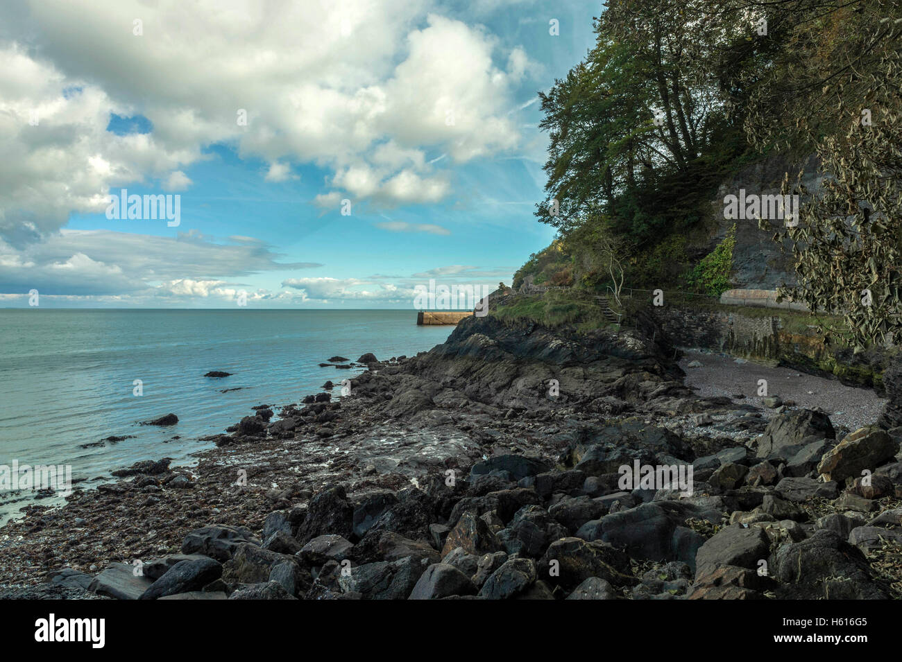 Landschaft mit der schönen Süd-west Küstenpfad am Babbacombe Beach und Lyme Bay an einem feinen Sommertag. Babbacombe, Devon, England Stockfoto