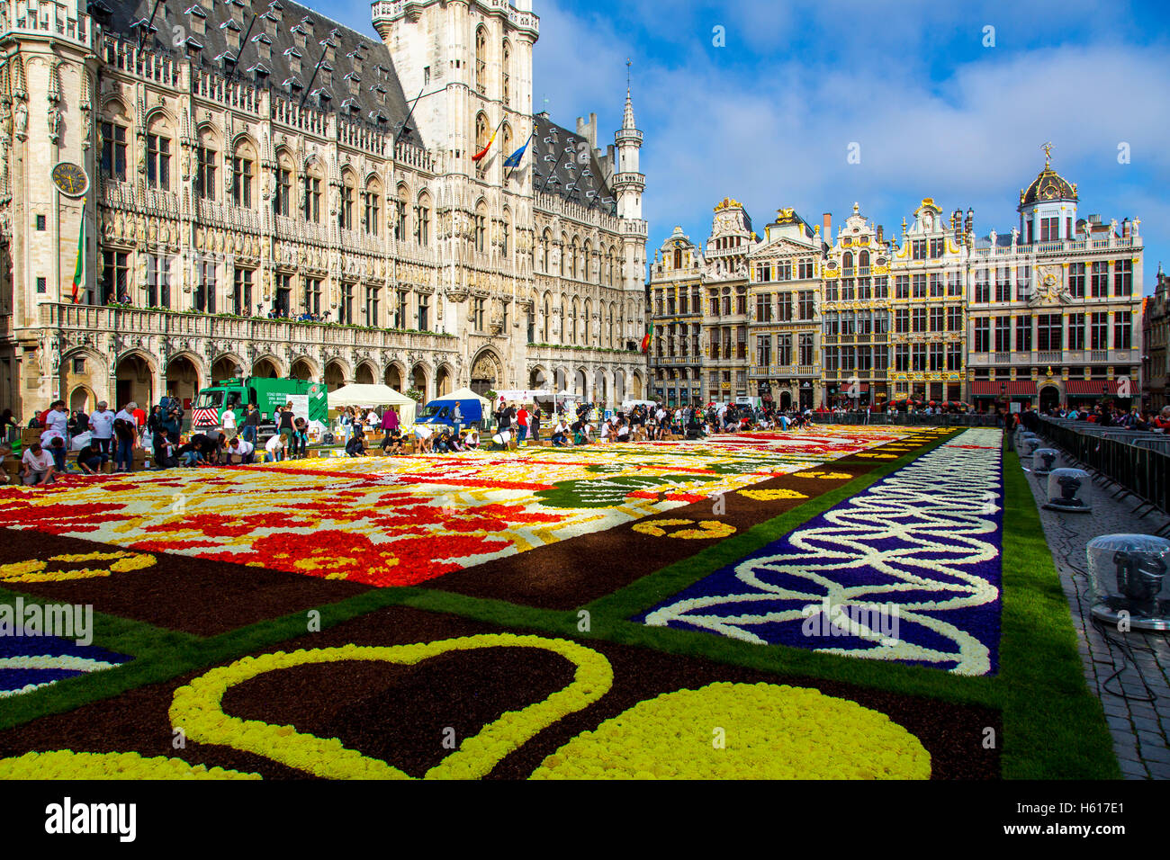 Blumenteppich am Grand Place in Brüssel, Belgien und mehr als 600.000 Blumen, Begonien, Dahlien, Fläche von 1800 Quadratmetern Stockfoto