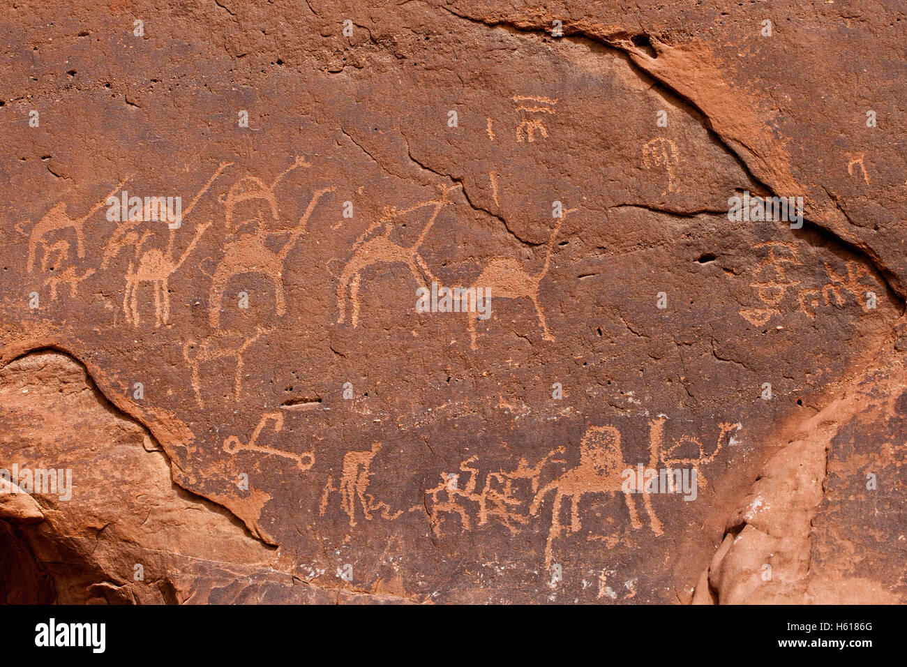 Ancient Nabatean Petroglyphen rock Gravur geschnitzt in das Gesicht des Jabal Anfishiyyeh in die Wüste des Wadi Rum, auch als das Tal des Mondes bekannt, schneiden in den Sandstein und Granit Felsen des südlichen Jordanien. Stockfoto