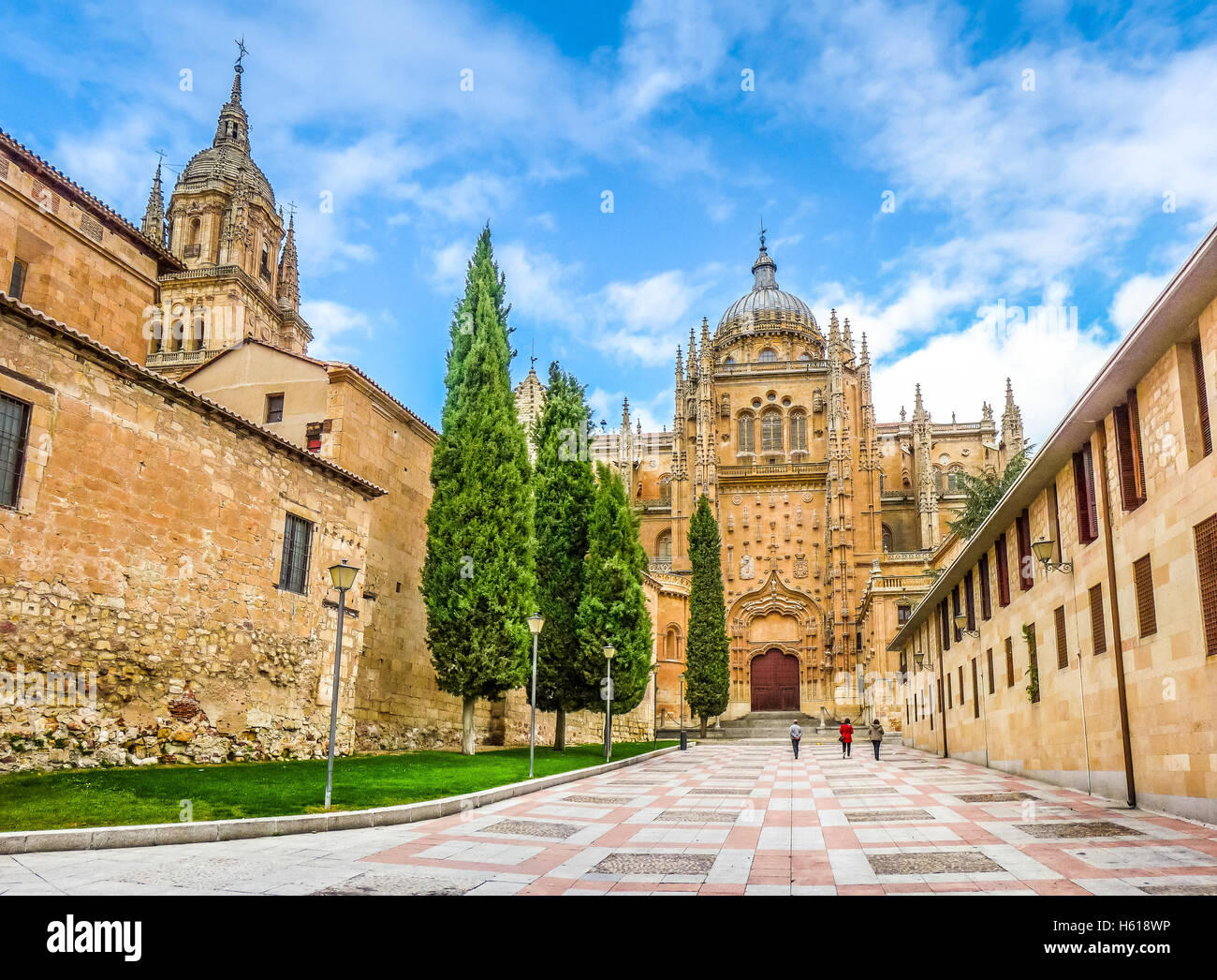 Schöne Aussicht auf die Kathedrale von Salamanca, Region Castilla y León, Spanien Stockfoto