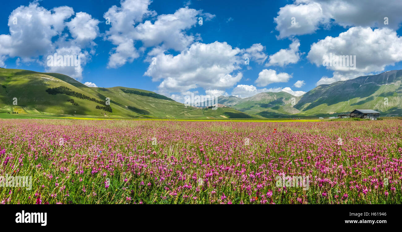 Schönen Sommerlandschaft am Piano Grande (Tiefebene) Bergplateau im Apennin, Castelluccio di Norcia, Umbrien, Italien Stockfoto