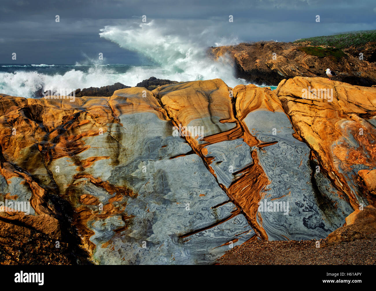 Bunten Sandsteinfelsen und Wellen. Point Lobos State Reserve. California Stockfoto