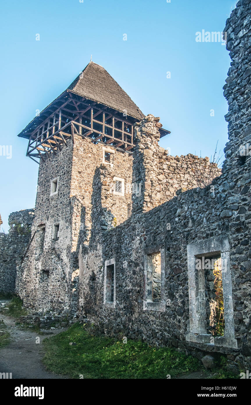Ustrzyki Burgruine Kamyanitsa Dorf, 12 km nördlich von Uzhgorod, Oblast Transkarpatien, Ukraine gebaut im 13. Jahrhundert Stockfoto