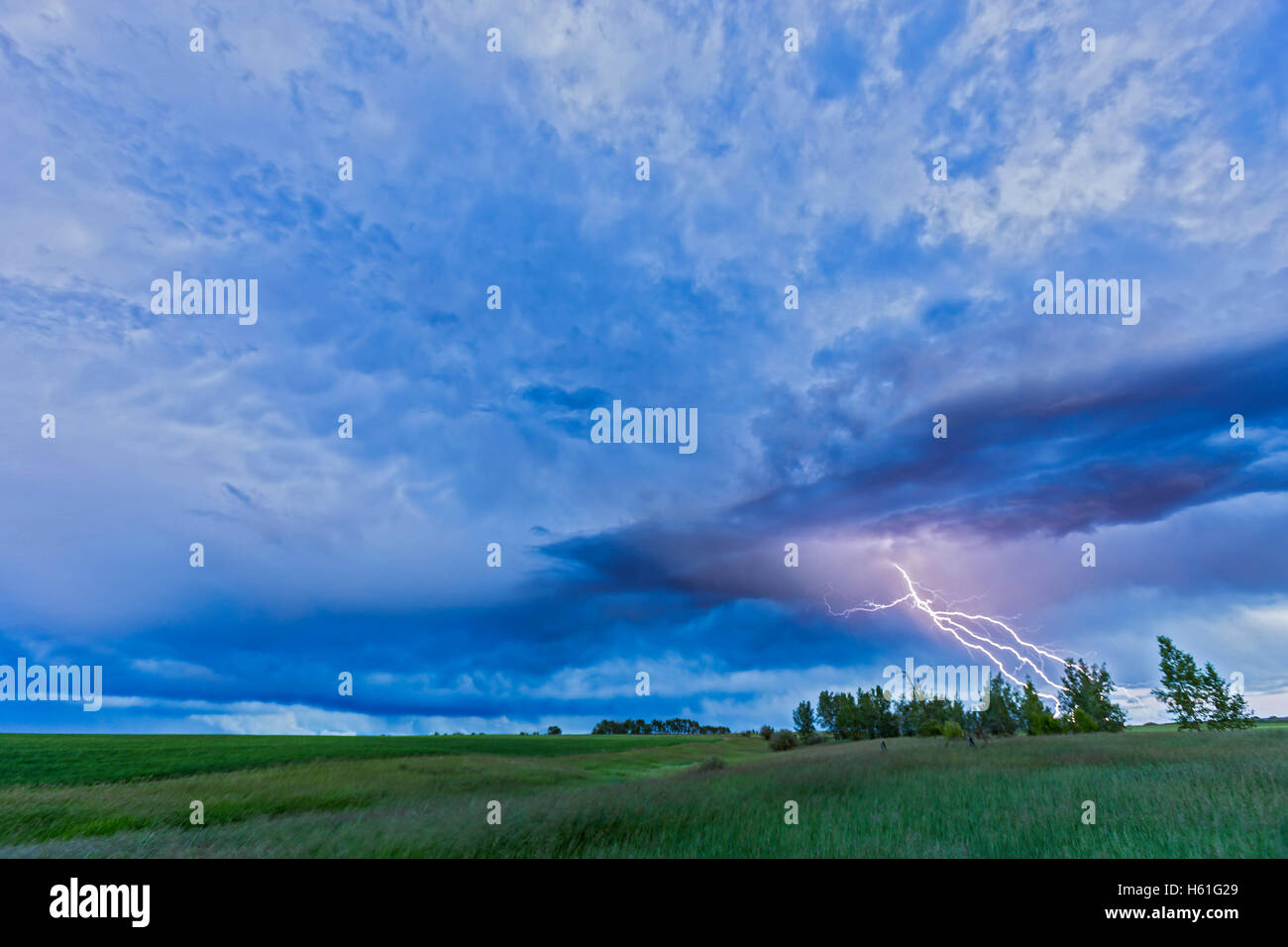 Ein Blitz kommt aus einem abziehenden Gewitter in der Verdunkelung Dämmerung.   Dies war ein Bild von einem 650-Frame Zeit-Runde Stockfoto